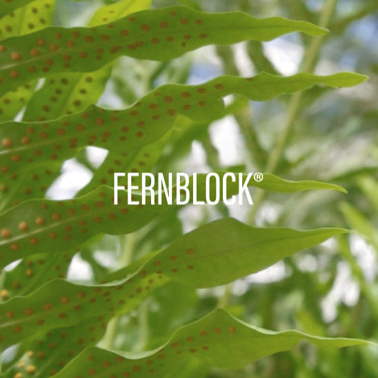 Close-up of green fern leaves with red spots and 'FERNBLOCK' logo.