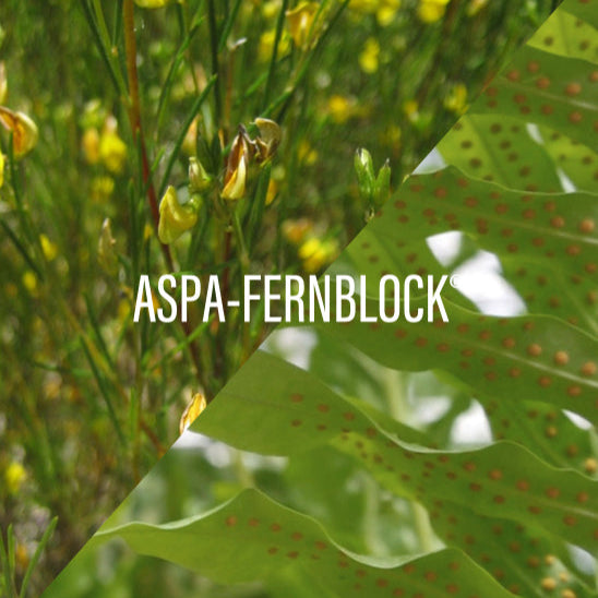 Green leafy plant with yellow flowers and 'ASPA-FERNBLOCK' text overlay.